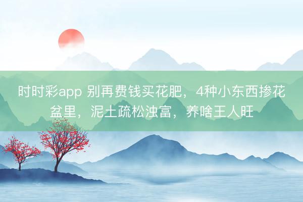 时时彩app 别再费钱买花肥,4种小东西掺花盆里,泥土疏松浊富,养啥王人旺